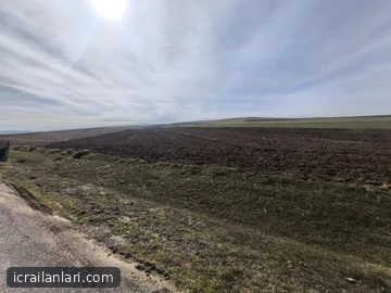Satılık Tarla - Yozgat Sarıkaya