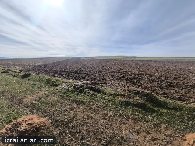 Satılık Tarla - Yozgat Sarıkaya ilan görseli 2