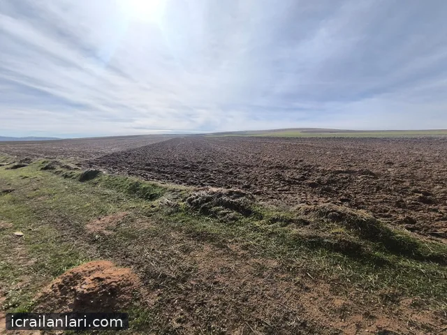 Satılık Tarla - Yozgat Sarıkaya ilan görseli 4
