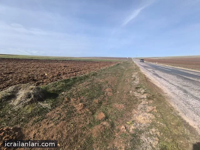Satılık Tarla - Yozgat Sarıkaya ilan görseli 5