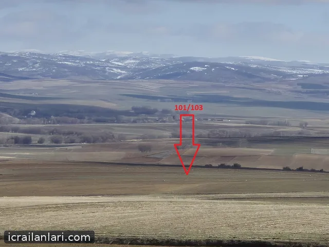 Satılık Tarla - Yozgat Sarıkaya ilan görseli 4
