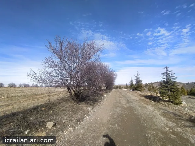 Satılık Tarla - Elazığ Merkez ilan görseli 12