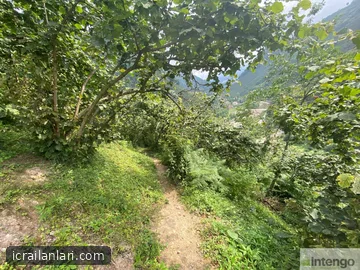 Arsa/Arazi - GİRESUN BULANCAK - 8.266 m²