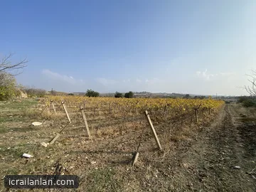 Arsa/Arazi - MANİSA ALAŞEHİR