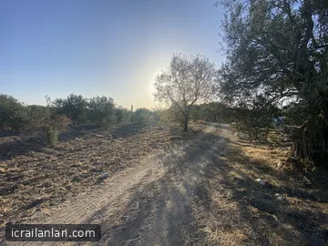 Satılık Tarla - Manisa Akhisar