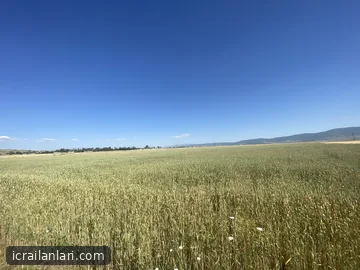 Satılık Tarla - Muş Korkut