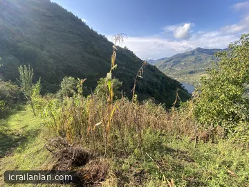Satılık Bahçe - Samsun Ayvacık