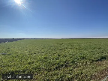 Arsa/Arazi - DİYARBAKIR ÇINAR - 14.788 m²