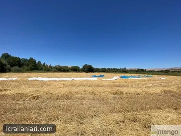 Satılık Tarla - Malatya Kuluncak