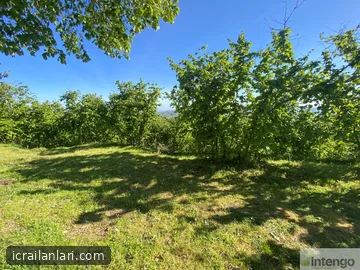 Arsa/Arazi - SAKARYA KOCAALİ - 10.531 m²