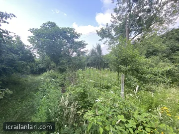 Arsa/Arazi - SAKARYA KOCAALİ - 5.483 m²