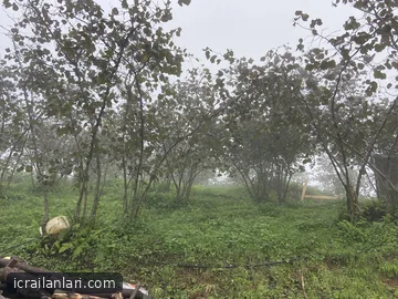 Satılık Köy Evi - Giresun Bulancak