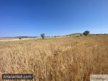 Arsa/Arazi - KONYA BEYŞEHİR - 5.956 m²