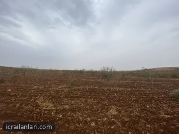 Satılık Tarla - Şanlıurfa Bozova