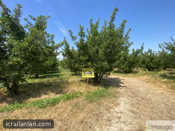 Satılık Tarla - Isparta Uluborlu