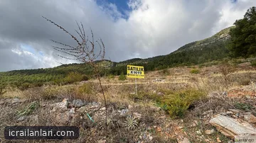 Satılık Tarla - Antalya Alanya