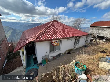 Satılık Köy Evi - Ordu Gürgentepe