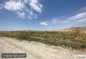 Satılık Tarla - Muş Malazgirt