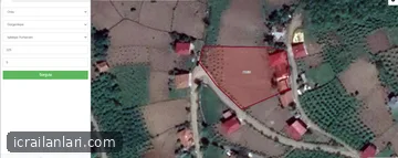 Satılık Köy Evi - Ordu Gürgentepe