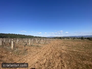 Satılık Tarla - Manisa Gölmarmara