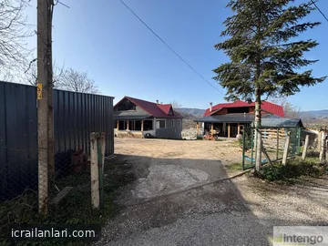 Satılık Tarla - Düzce Kaynaşlı