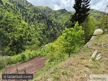 Satılık Bahçe - Artvin Borçka