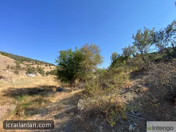 Satılık Tarla - Muğla Seydikemer