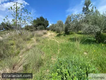 Satılık Bağ - Adana Çukurova