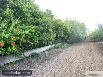 Satılık Tarla - Antalya Manavgat