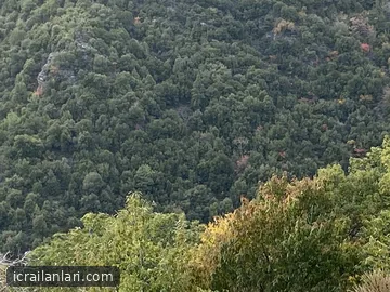 Satılık Tarla - Aydın Efeler