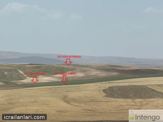 Satılık Tarla - Kırşehir Çiçekdağı ilan görseli 1
