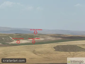 Satılık Tarla - Kırşehir Çiçekdağı