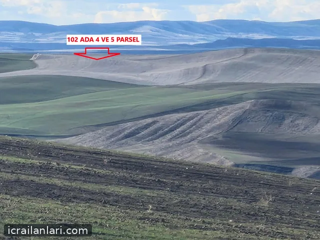 Satılık Tarla - Kırşehir Çiçekdağı ilan görseli 2