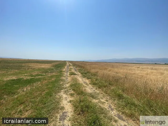 Satılık Tarla - Muş Merkez ilan görseli