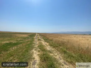 Satılık Tarla - Muş Merkez