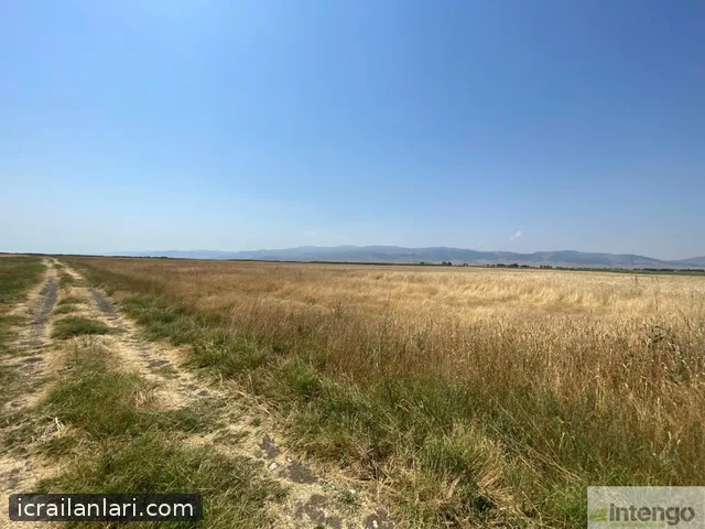 Satılık Tarla - Muş Merkez ilan görseli 2