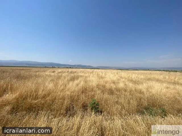 Satılık Tarla - Muş Merkez ilan görseli 15