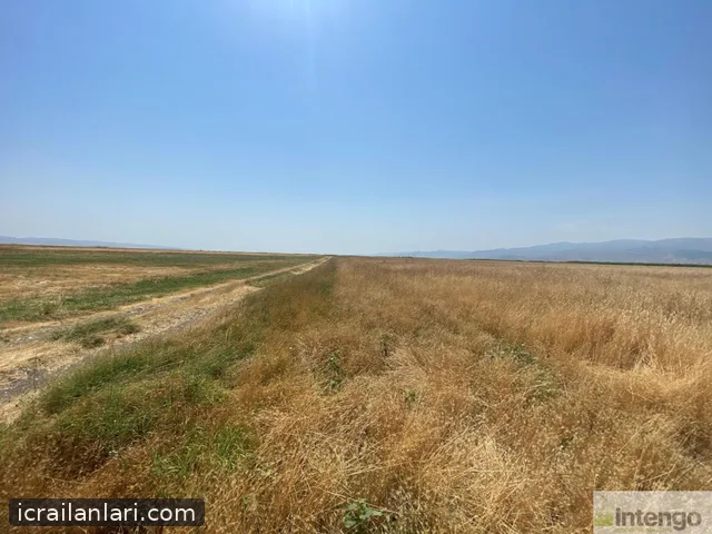 Satılık Tarla - Muş Merkez ilan görseli 3