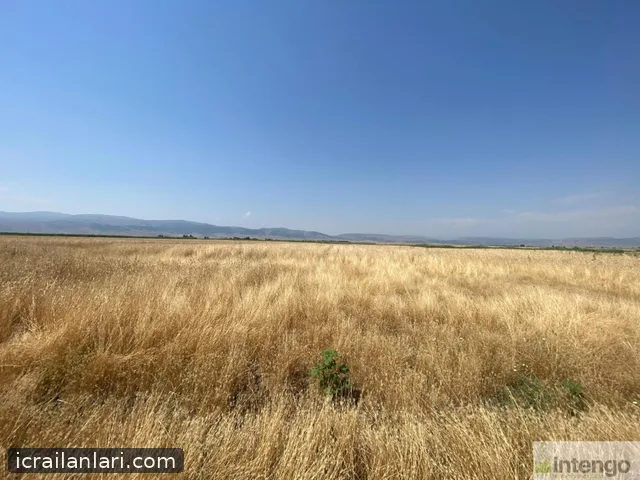Satılık Tarla - Muş Merkez ilan görseli 5