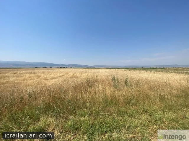 Satılık Tarla - Muş Merkez ilan görseli 6