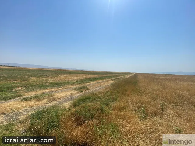 Satılık Tarla - Muş Merkez ilan görseli 7