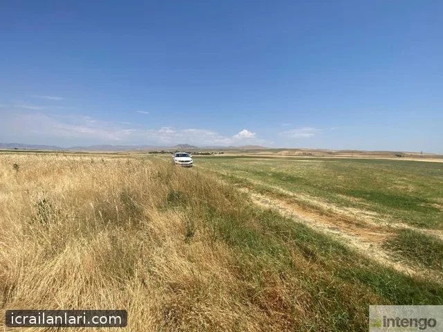 Satılık Tarla - Muş Merkez ilan görseli 9