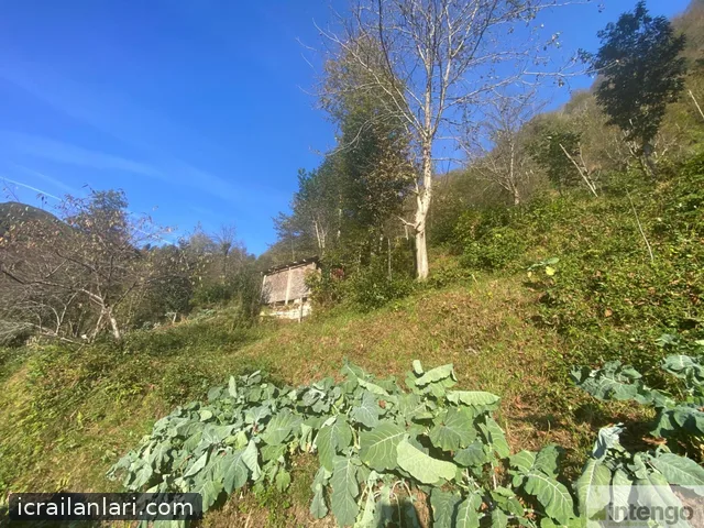 Satılık Arsa/Arazi - Rize Ardeşen ilan görseli