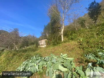 Satılık Arsa/Arazi - Rize Ardeşen
