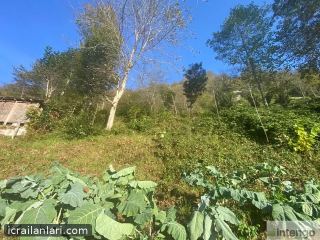 Satılık Arsa/Arazi - Rize Ardeşen ilan görseli 11