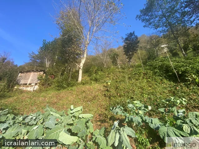 Satılık Arsa/Arazi - Rize Ardeşen ilan görseli 3