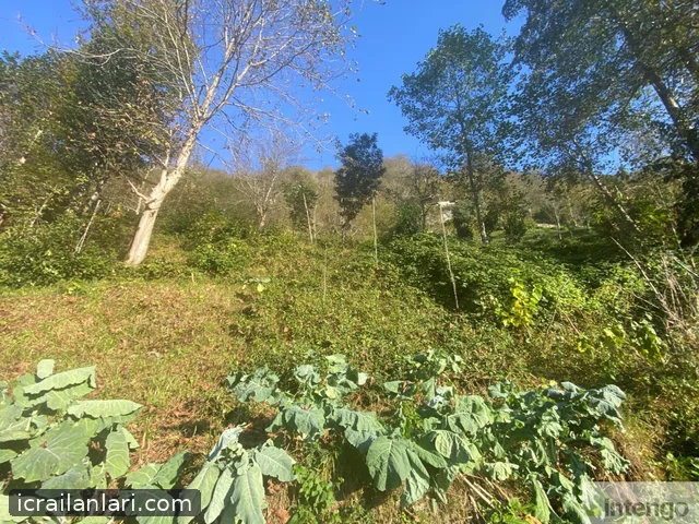 Satılık Arsa/Arazi - Rize Ardeşen ilan görseli 4