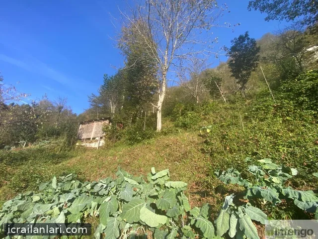 Satılık Arsa/Arazi - Rize Ardeşen ilan görseli 8