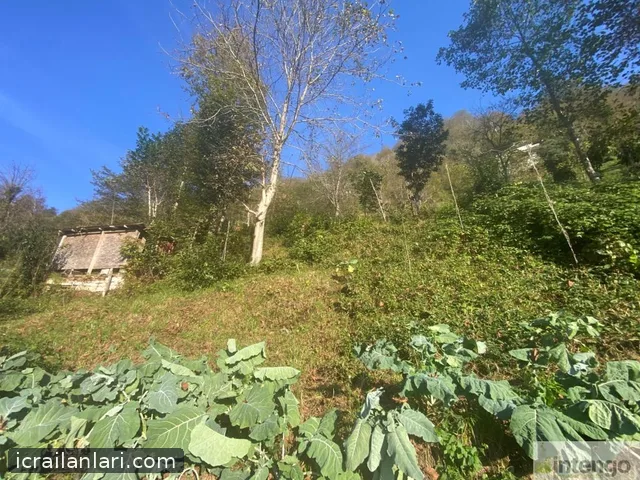Satılık Arsa/Arazi - Rize Ardeşen ilan görseli 9