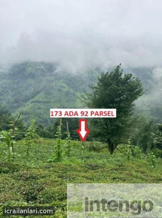 Satılık Arsa/Arazi - Rize Ardeşen ilan görseli 4